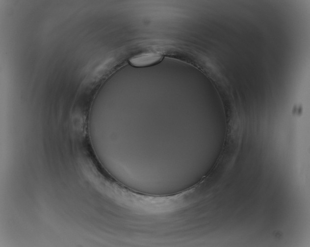 X0000111830031200907301331
