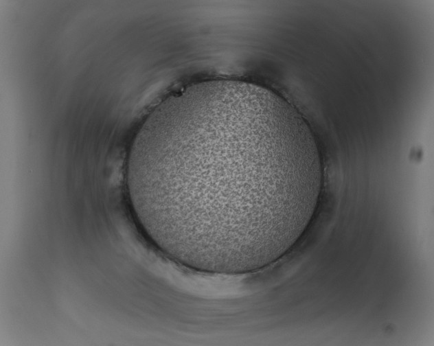 X0000111830032200907301331