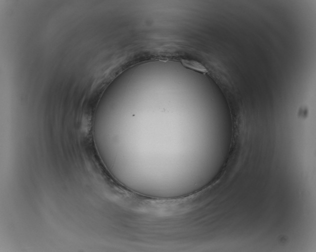 X0000111830033200907301331