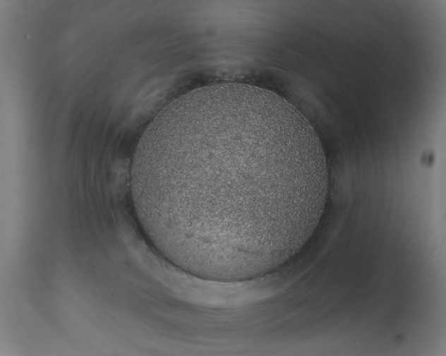 X0000111830034200907301331