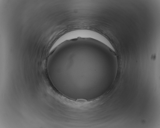 X0000111830035200907301331