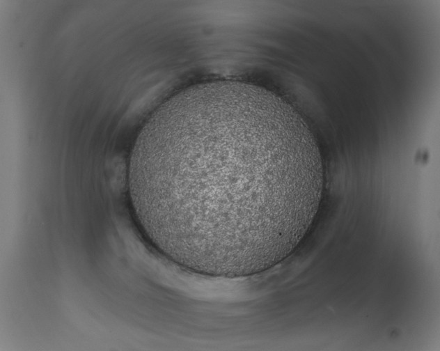 X0000111830036200907301331