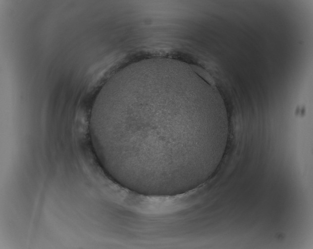 X0000111830037200907301331