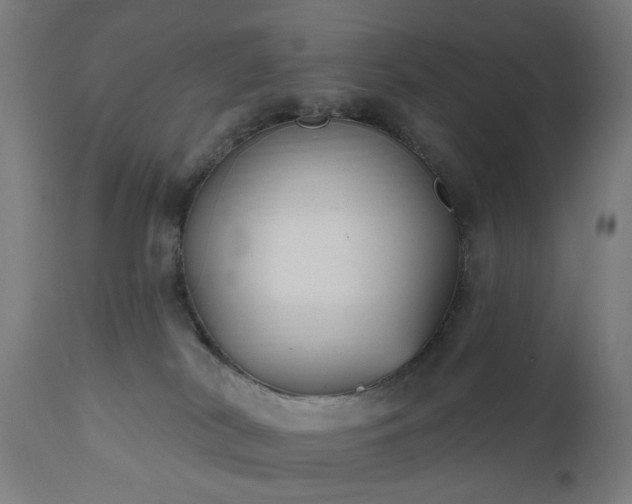 X0000111830038200907301330