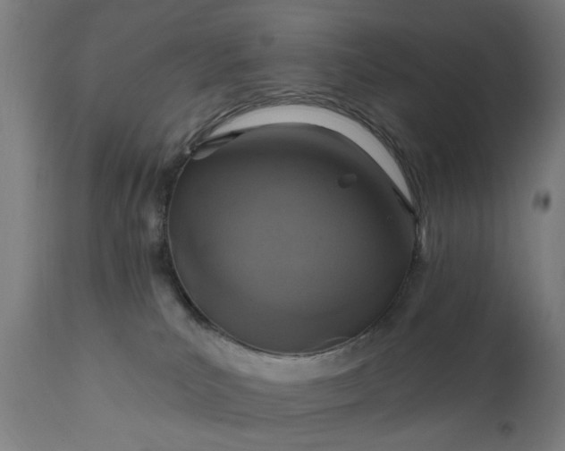 X0000111830039200907301330
