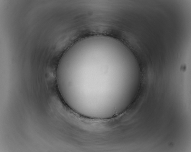 X0000111830040200907301330