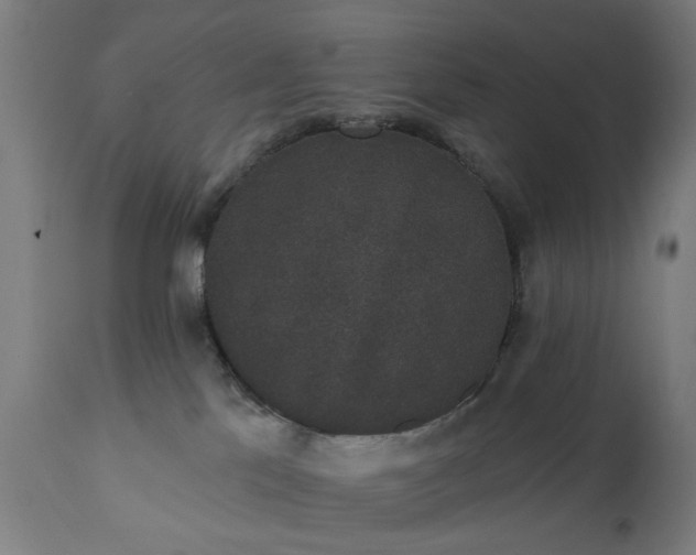 X0000111830041200907301330