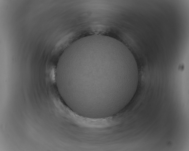 X0000111830042200907301330