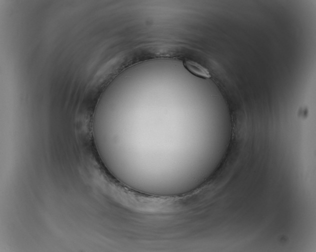 X0000111830044200907301330