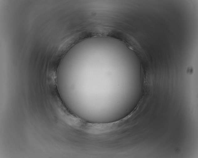 X0000111830045200907301330