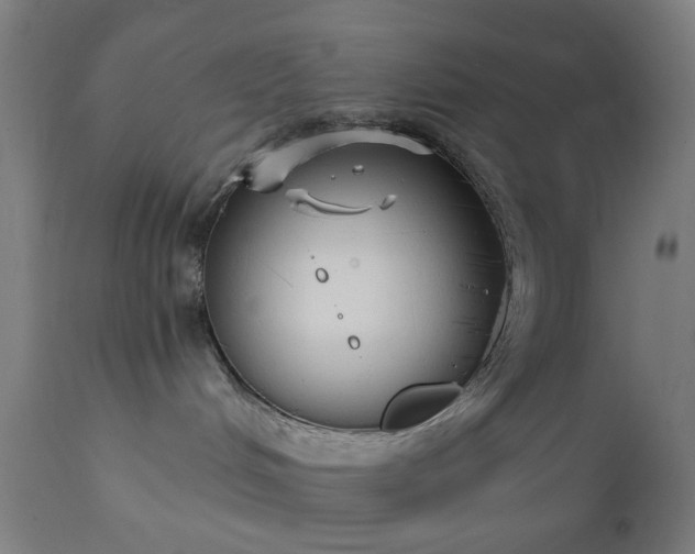 X0000111830048200907301330