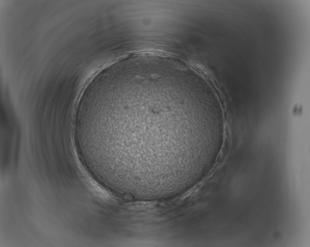 X0000111830049200907301330