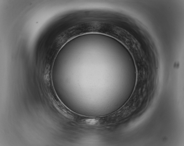 X0000111830050200907301330