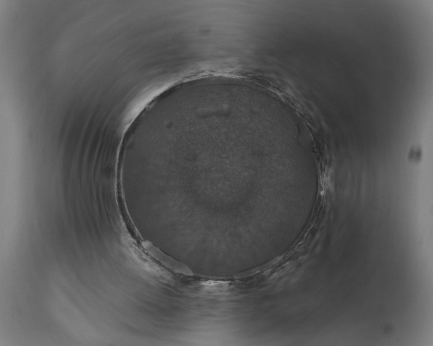 X0000111830052200907301330