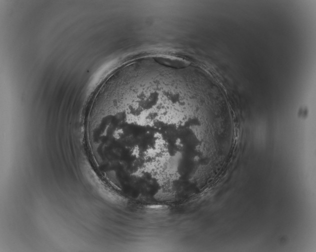 X0000111830053200907301330