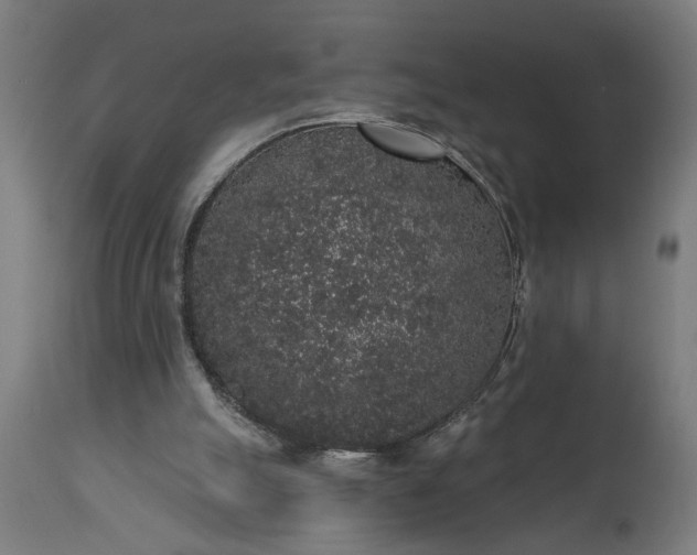 X0000111830055200907301330