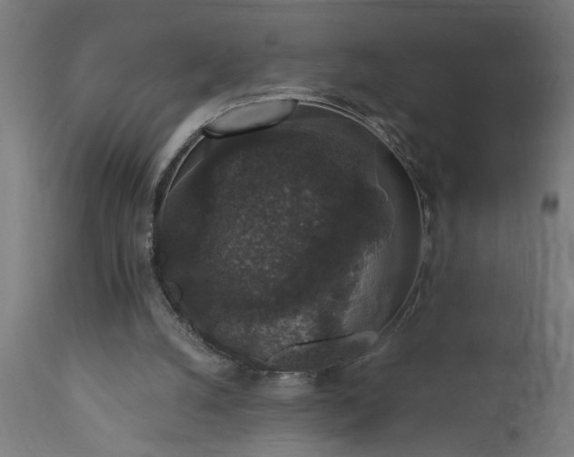 X0000111830056200907301330