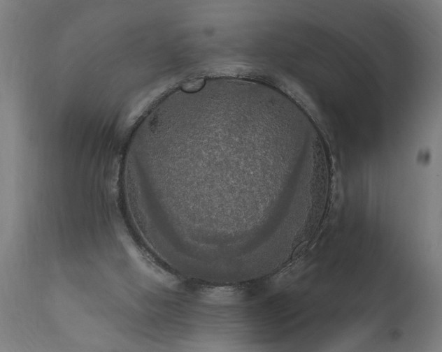 X0000111830058200907301330
