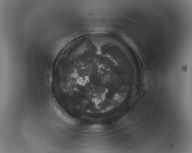 X0000111830059200907301330