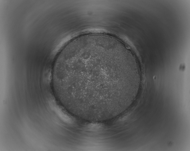 X0000111830063200907301330