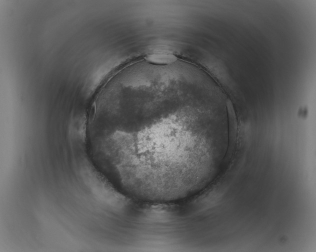X0000111830064200907301330