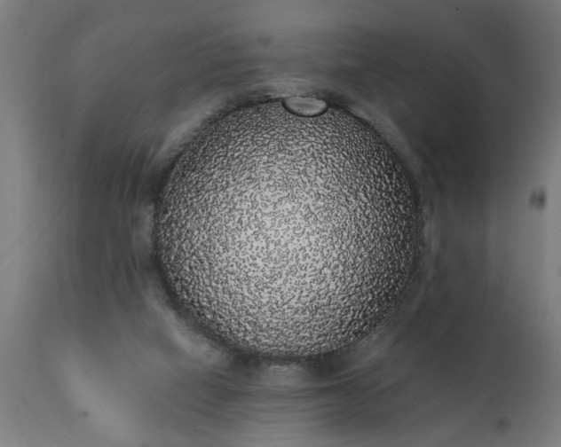 X0000111830066200907301330