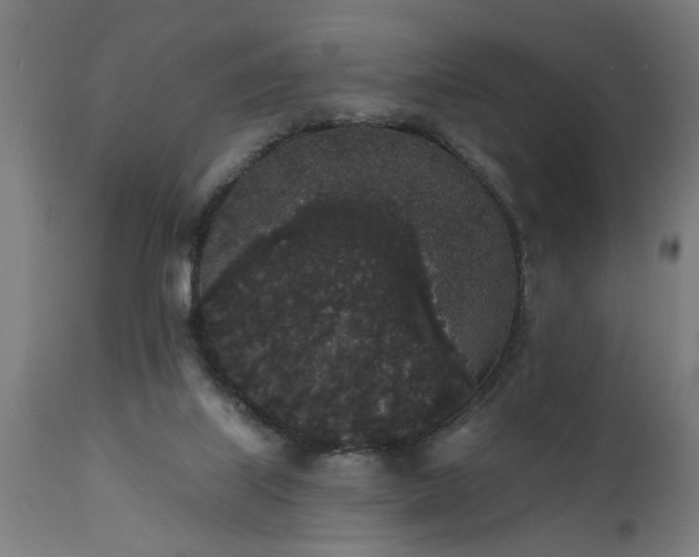 X0000111830067200907301330