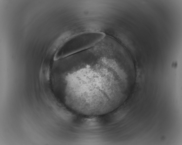 X0000111830068200907301330