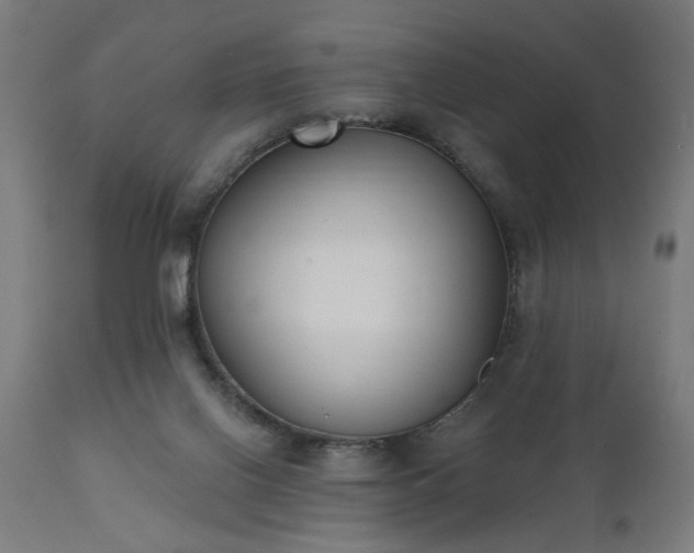 X0000111830070200907301330