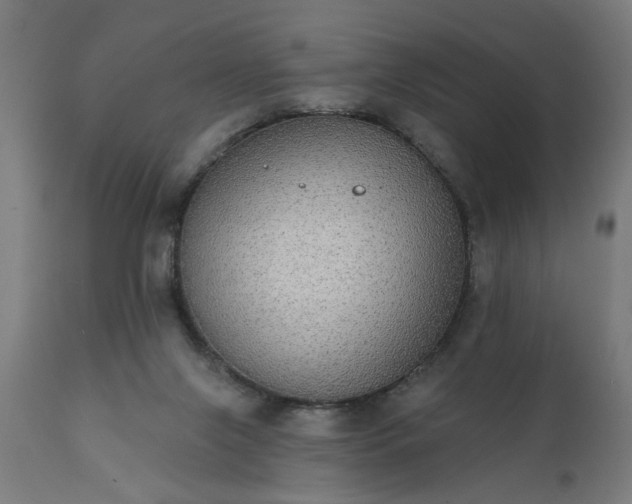 X0000111830071200907301330