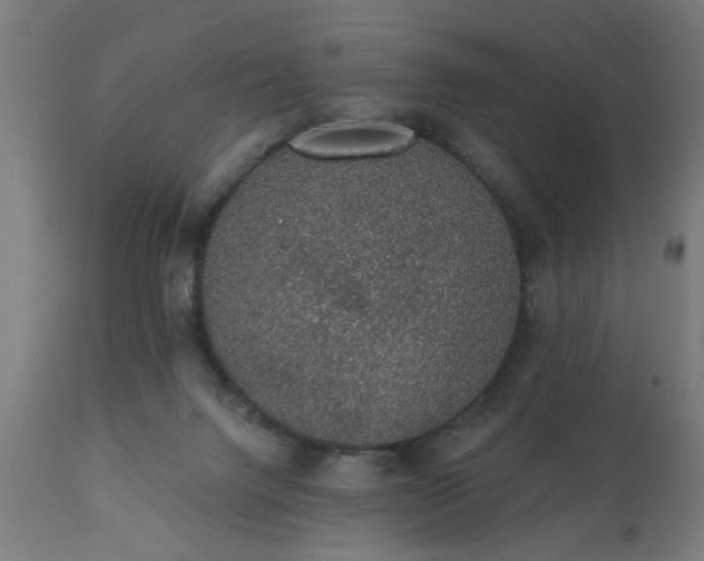 X0000111830072200907301330