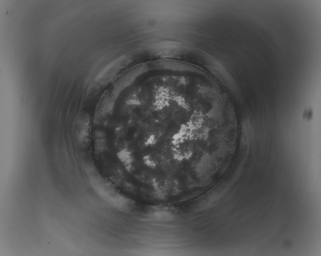 X0000111830073200907301330
