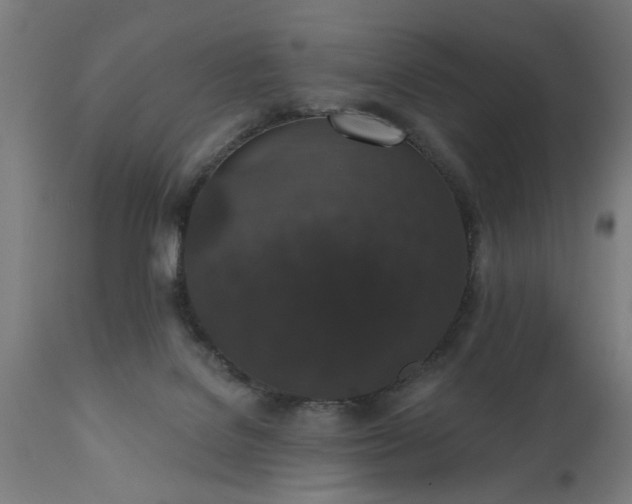 X0000111830076200907301330
