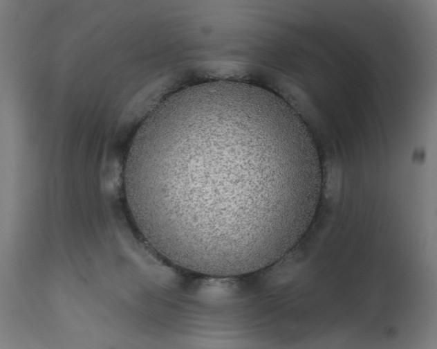X0000111830077200907301330