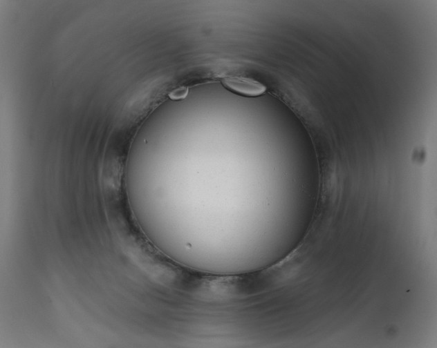 X0000111830078200907301330