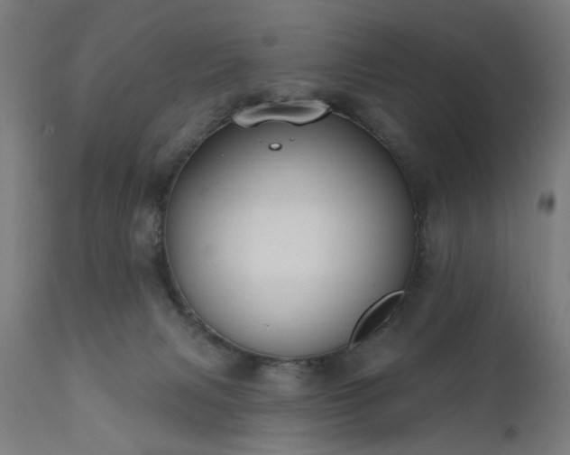 X0000111830079200907301330