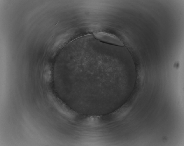 X0000111830080200907301330