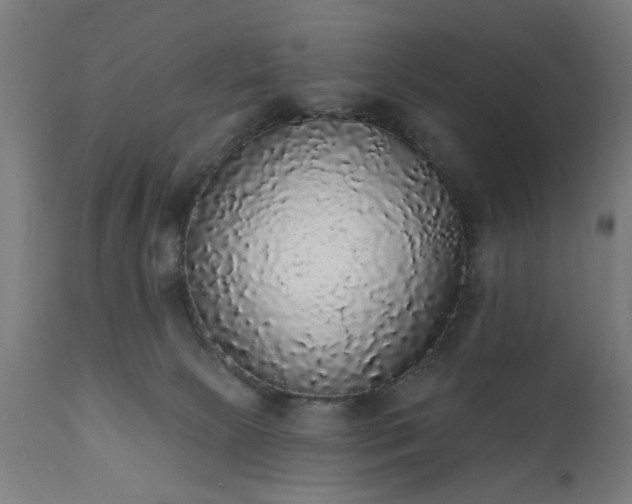 X0000111830081200907301330