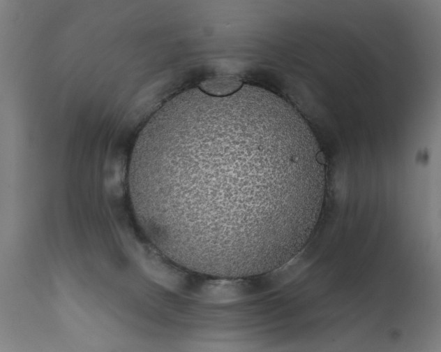X0000111830082200907301330