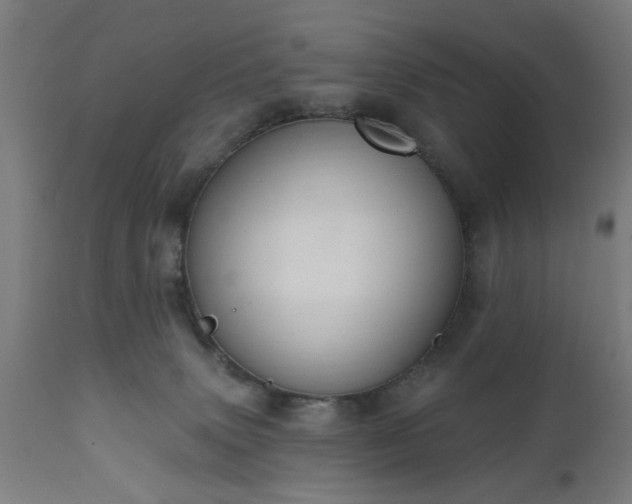 X0000111830083200907301330