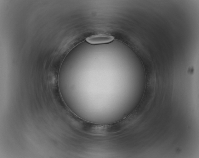 X0000111830084200907301330