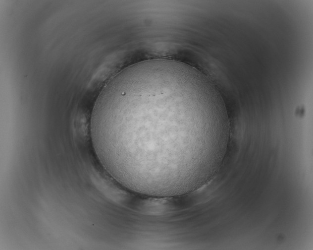 X0000111830086200907301330