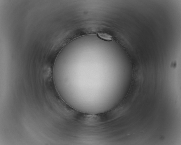 X0000111830087200907301330