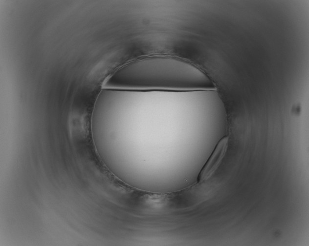 X0000111830088200907301330