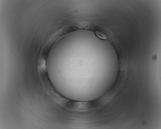 X0000111830089200907301330