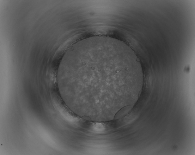 X0000111830091200907301330