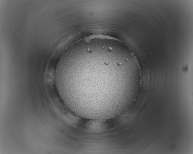 X0000111830093200907301330