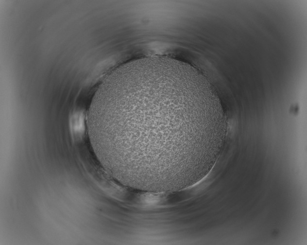 X0000111830094200907301330