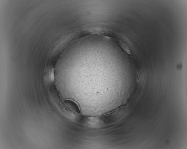 X0000111830095200907301330