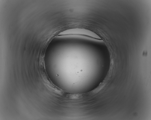 X0000111830096200907301330